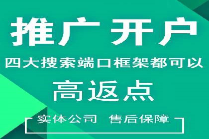 某行业领军企业的SEM广告投放策略